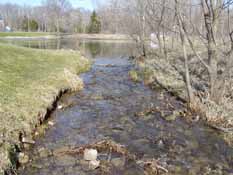 Traver Creek Sample Collection Site, Leslie Golf Course, 30 March 2010.